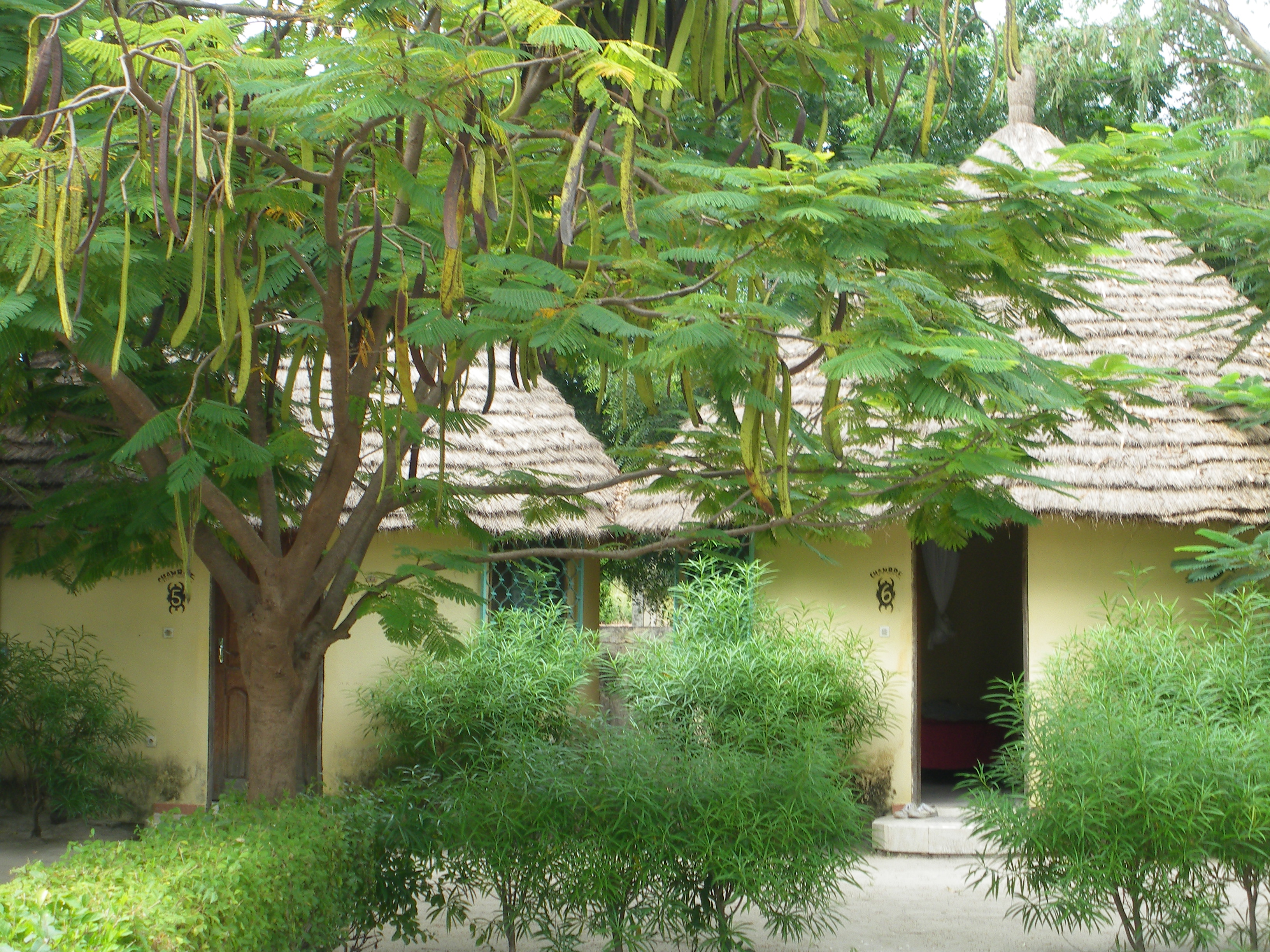 IMGP2185.JPG