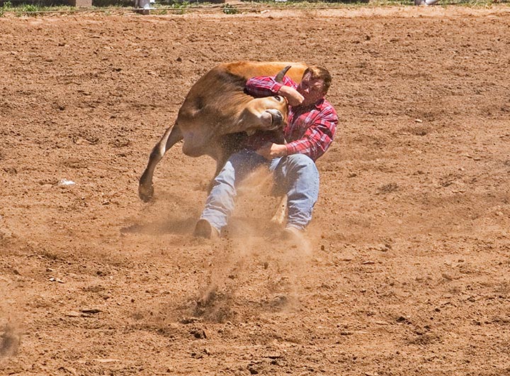 Westling1.jpg
