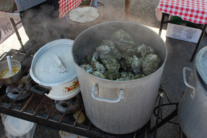 Oysters!