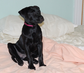 her other bed