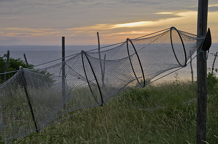 Fishermans net