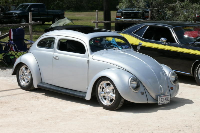 nice chopped Bug