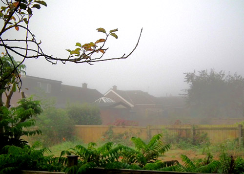 Suburbia in the Morning Mist