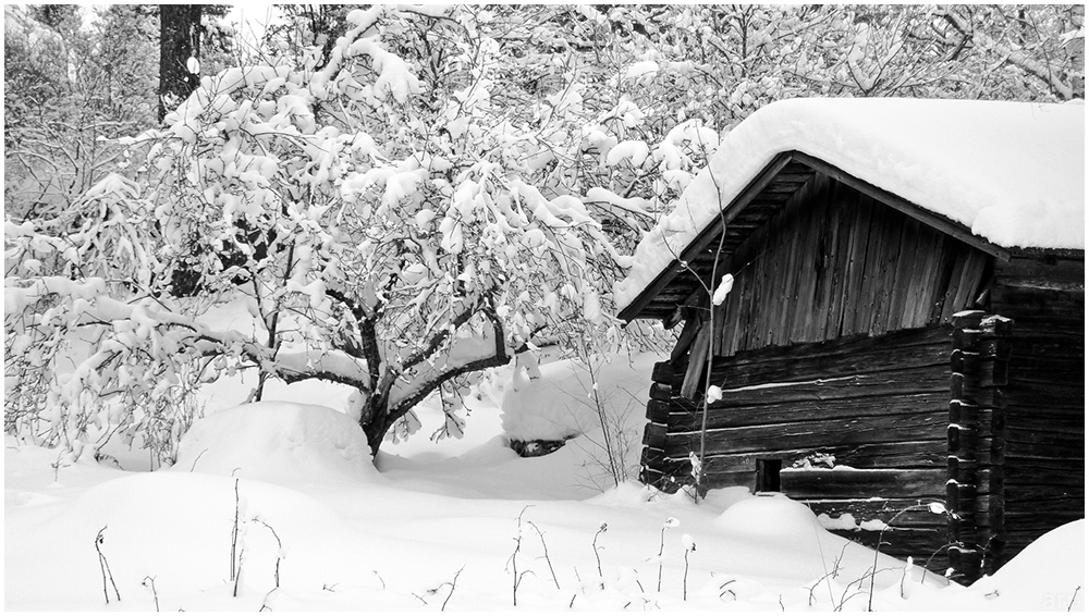 110123_TZ7_1040039 snow 1000x