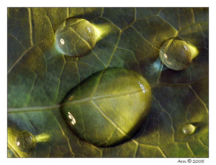 drops