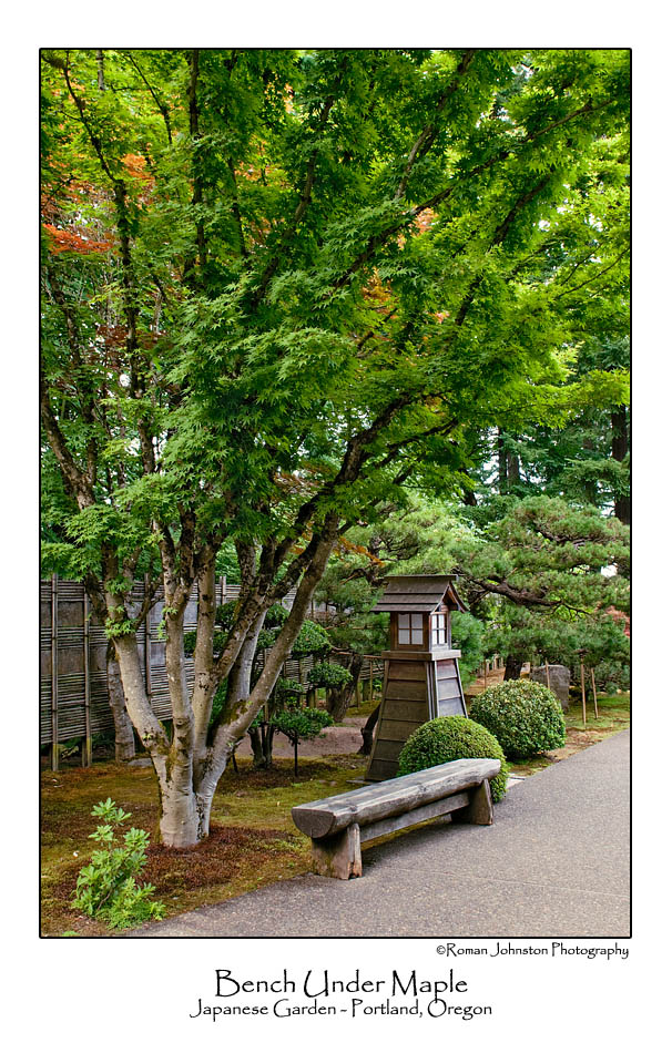 Bench Under Maple.jpg