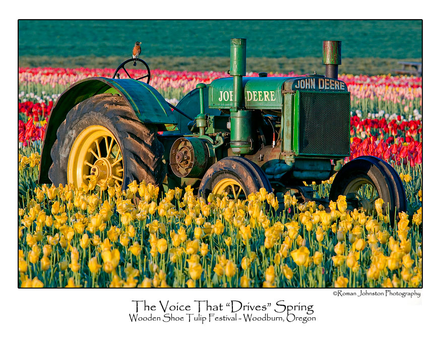The Voice That Drives Spring.jpg