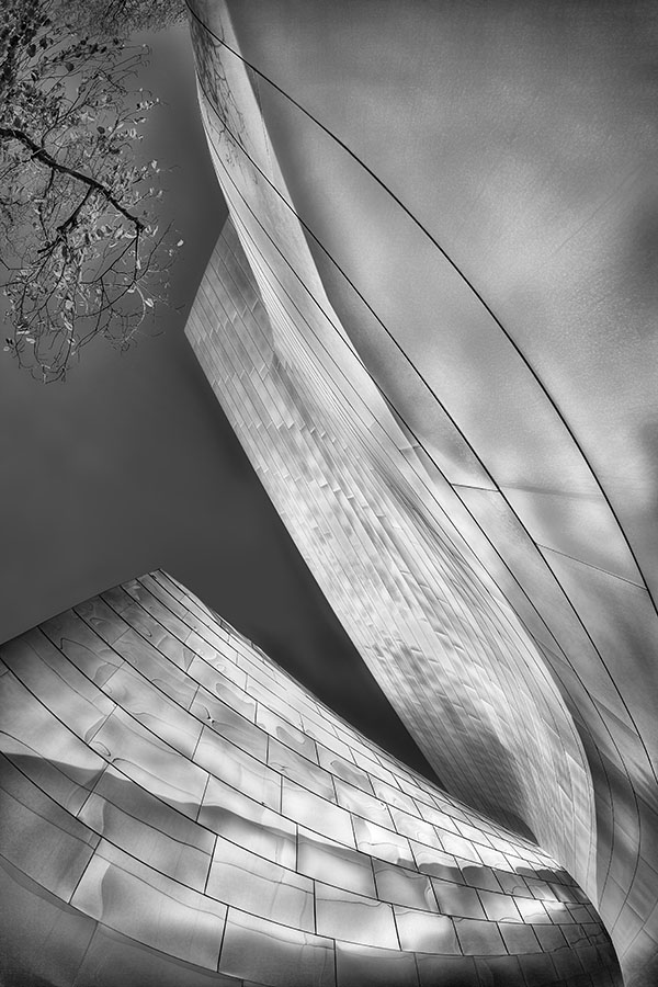 Disney Hall X