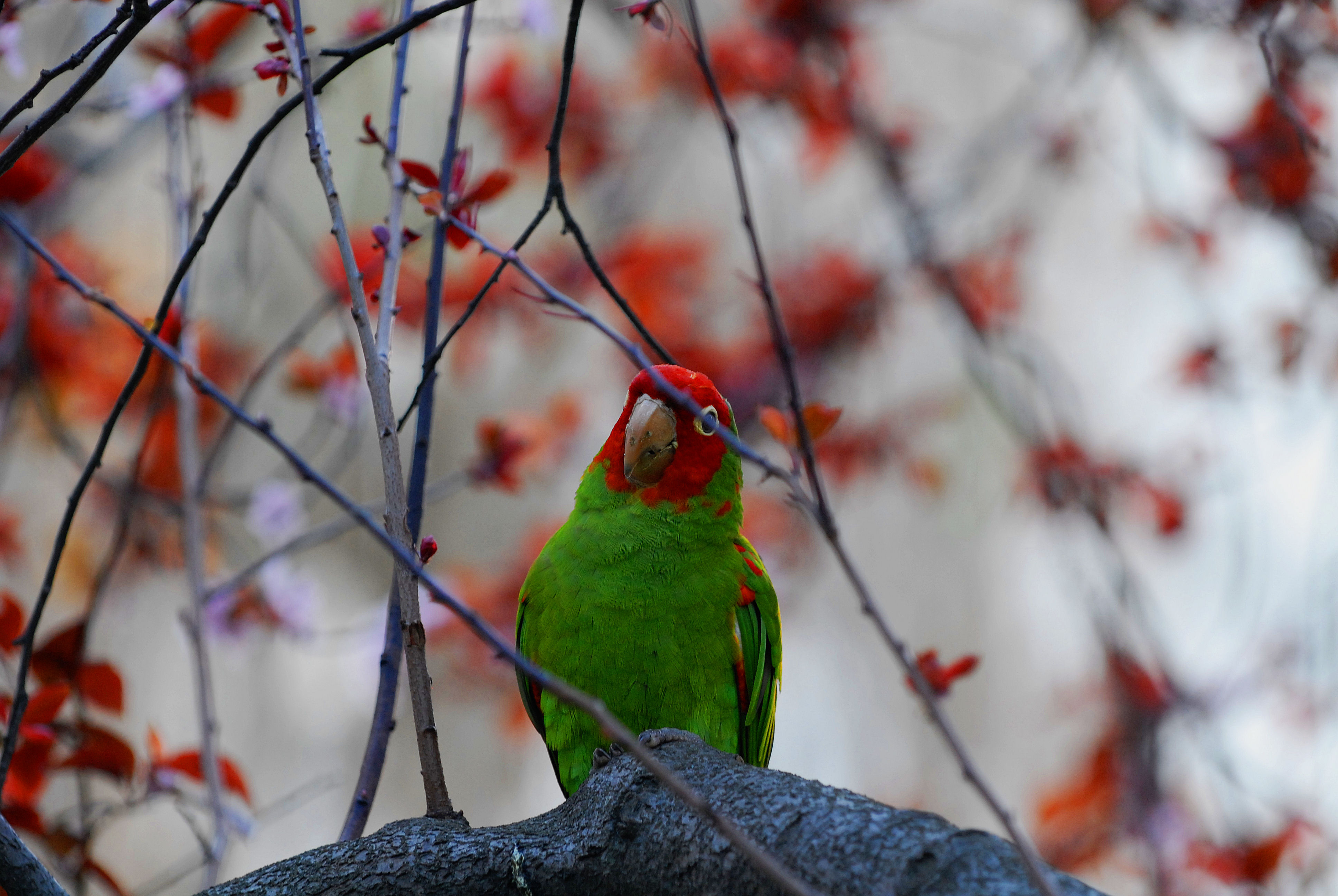DSC_8276.JPG