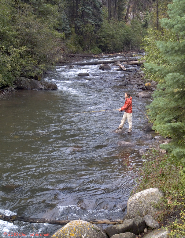 DSCF0165.jpg