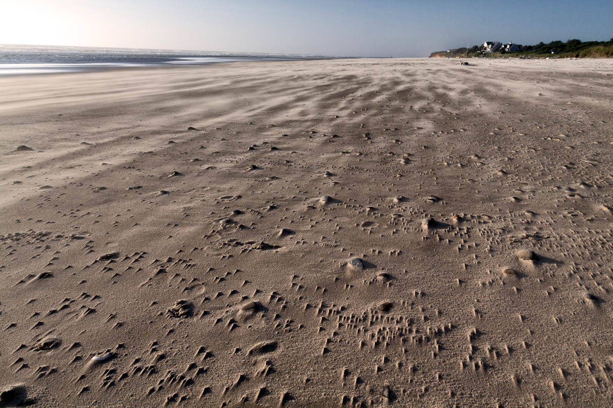 Sand Swept Beach