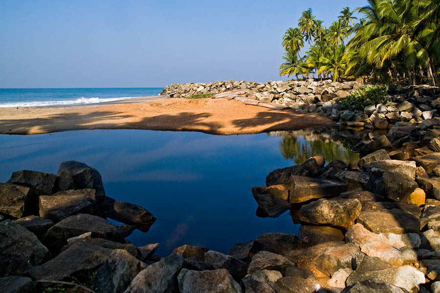 Tide Pool