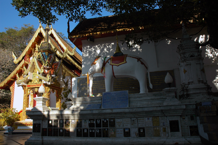 Temple Hall & White Elephant