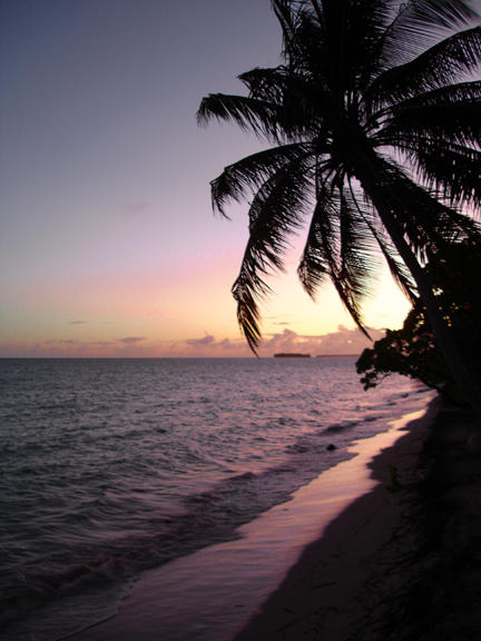 High tide sunset