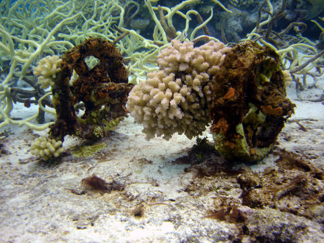 Train Wheels in the lagoon