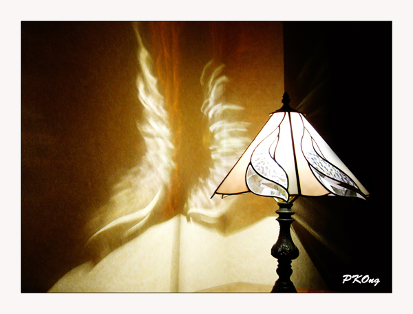 Lamp shadow1-small.jpg
