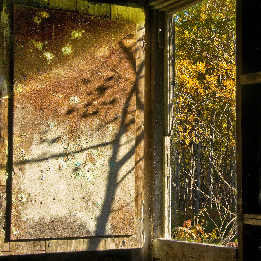 Window in Old Shed, Manitoba