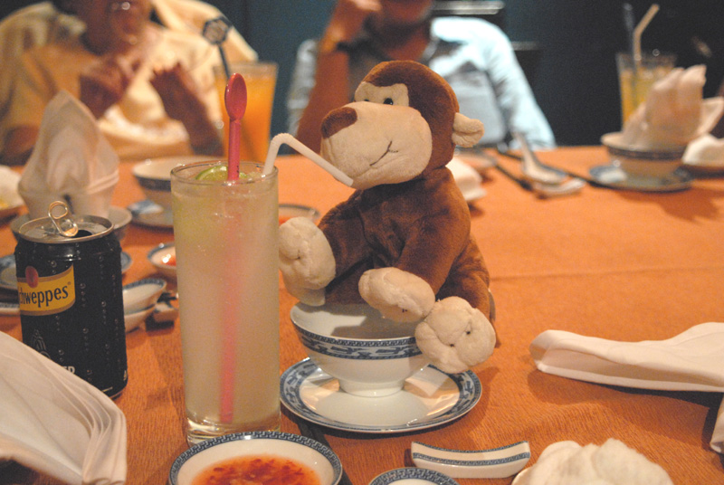 Party monkey