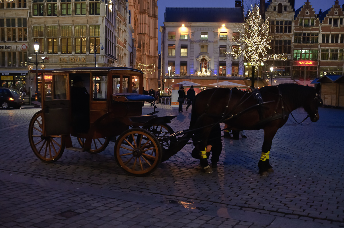 DSC_1241.JPG