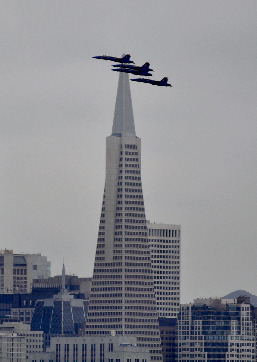 DSC_0446.JPG