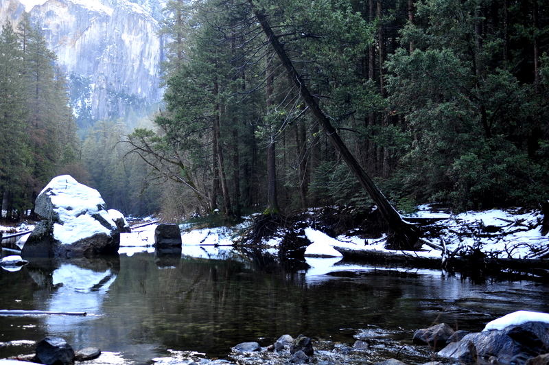 DSC_0032.JPG