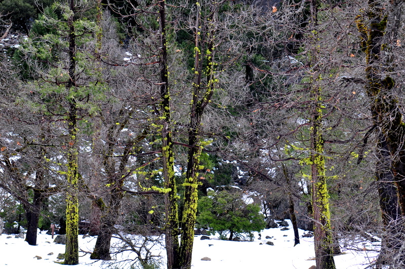 DSC_0059.JPG