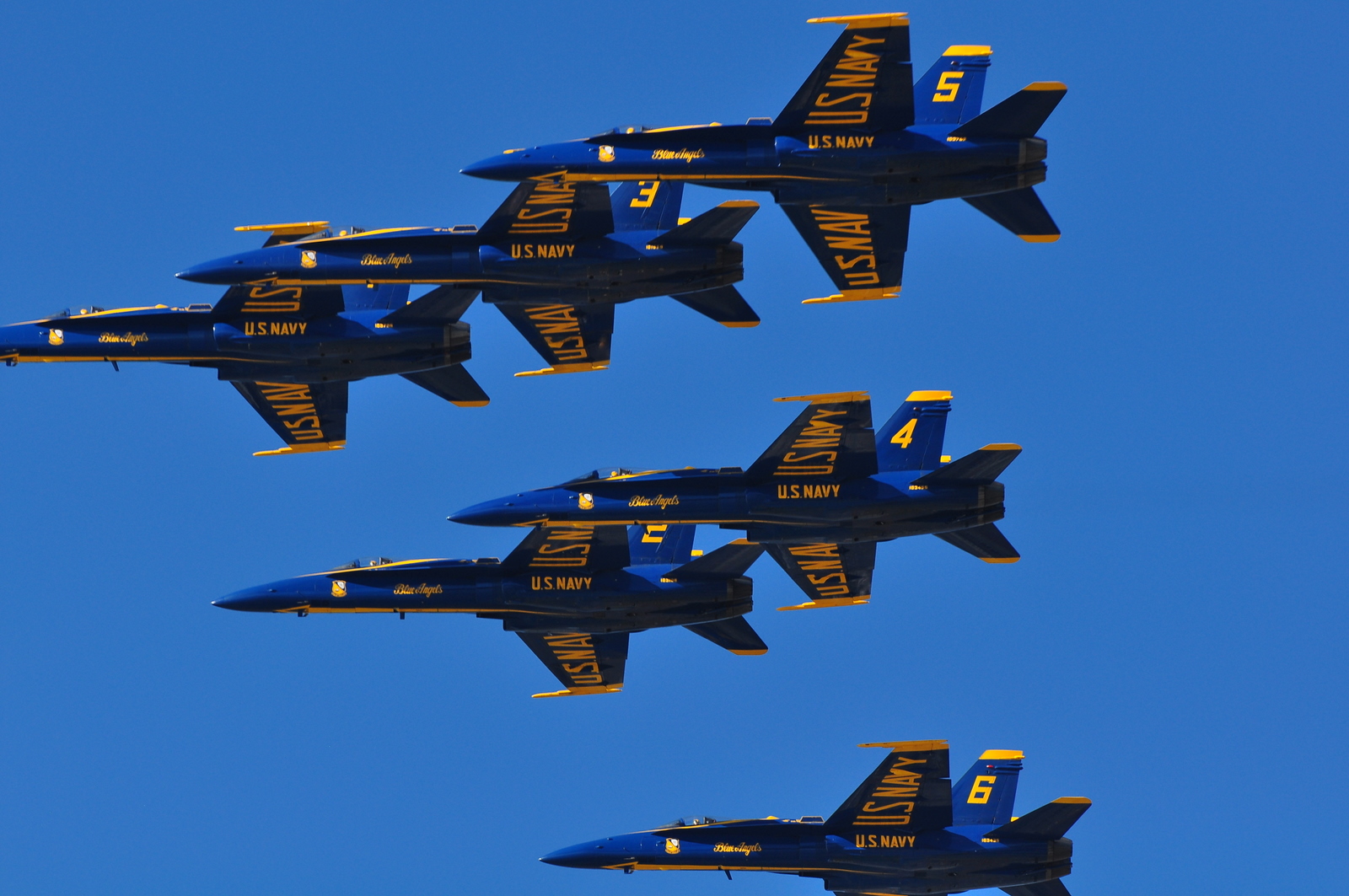 DSC_0224.JPG