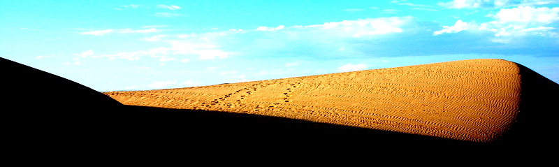 DSC_0276.JPG