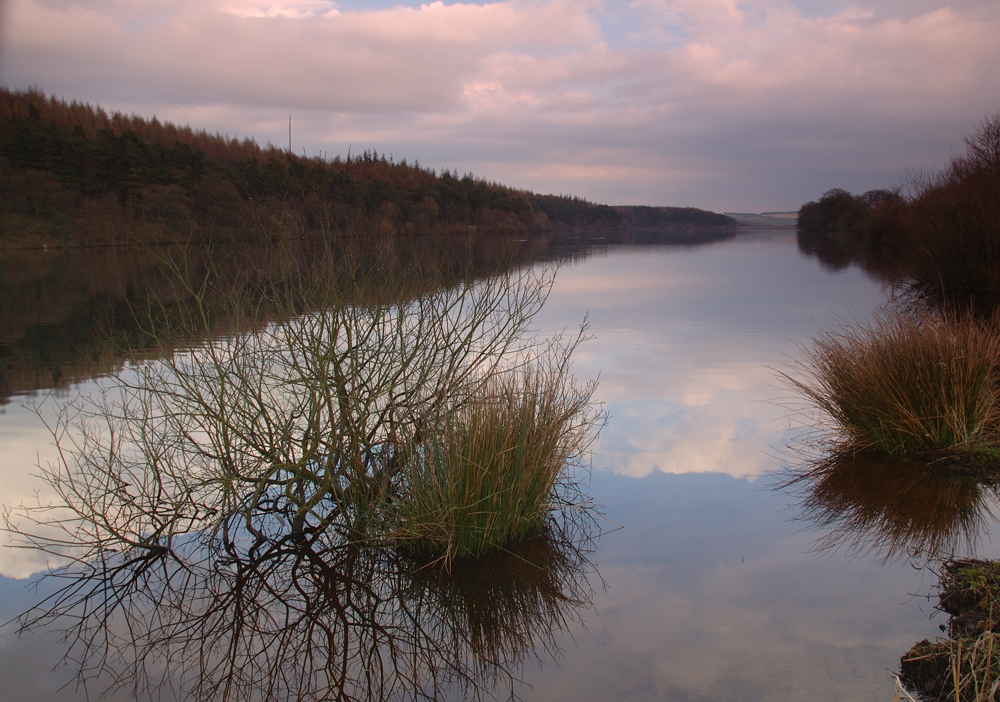 Leighton Reservoir  DSC_5325