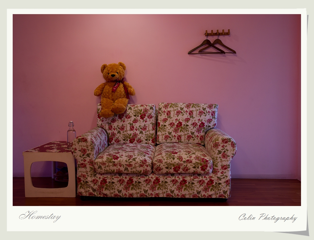 DSC05391v.jpg