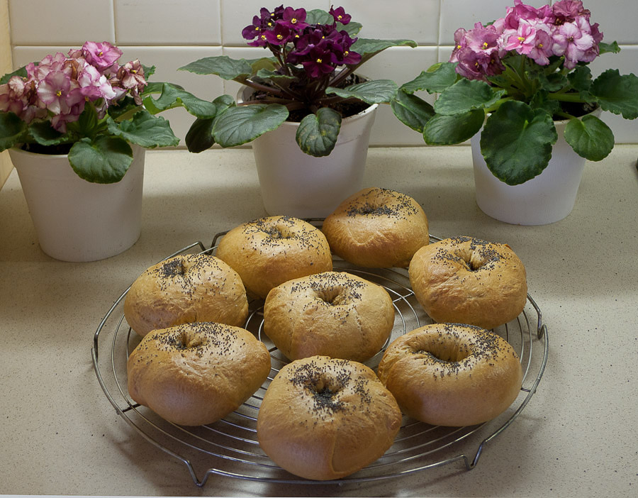 P1090661 Homemade Poppy Seed Bagels