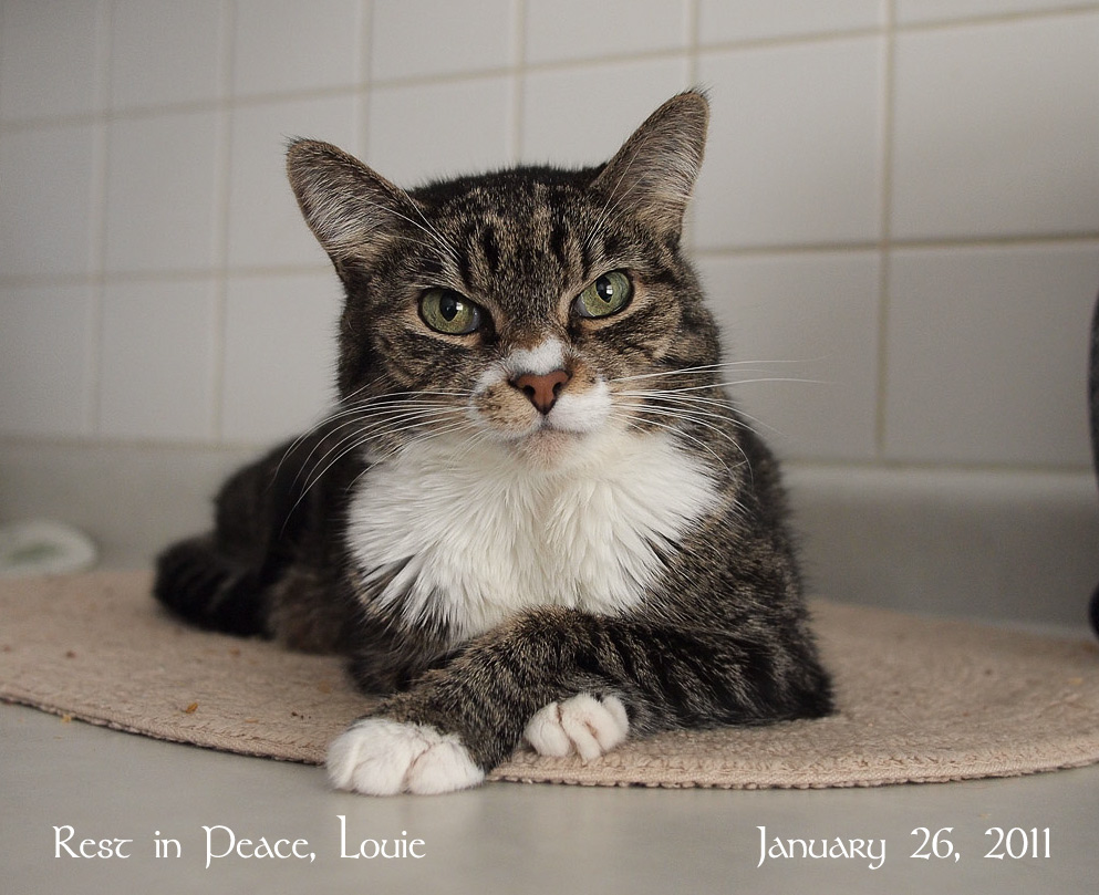 In Memoriam - We will all miss him