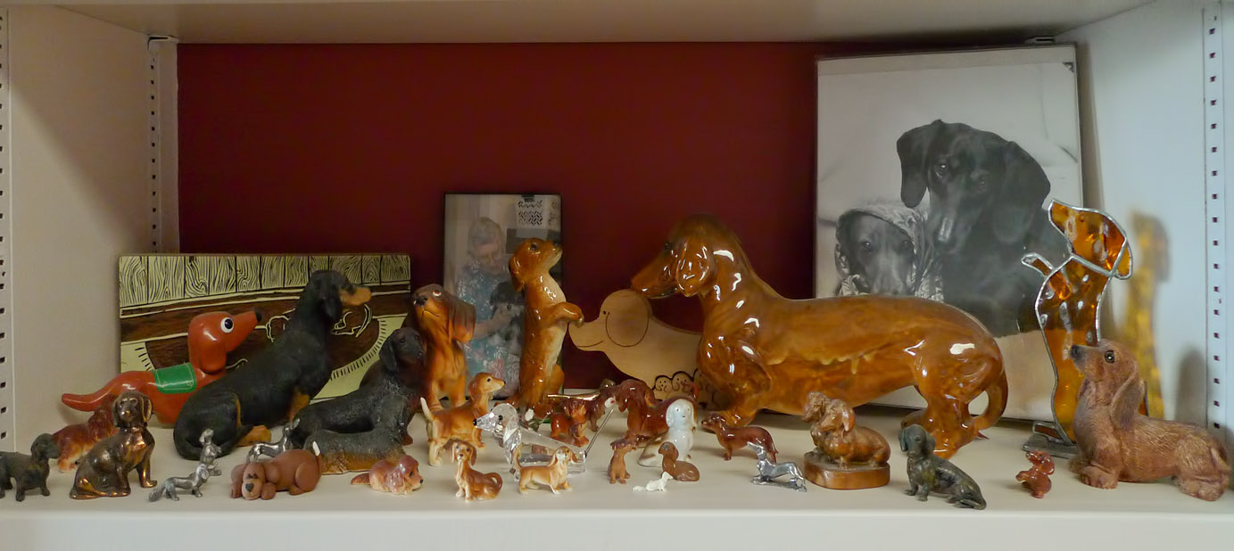 P1100747 Dachshund Collection