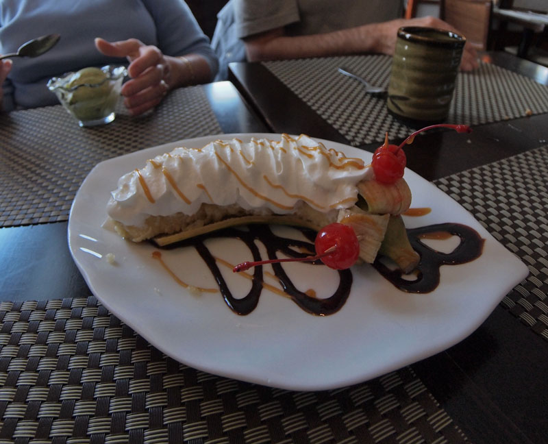 P2155693 Fried Banana