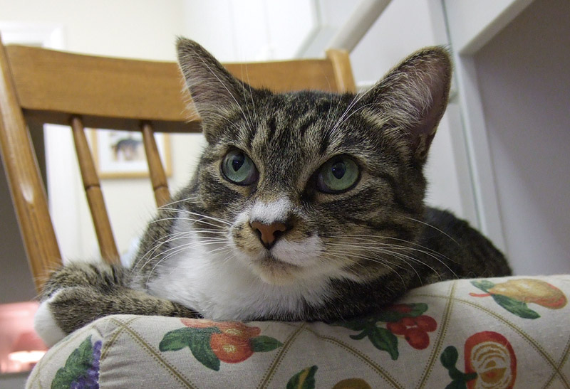 DSCF3860 Innocent Look
