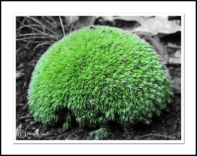 I dont know what it is either, but I liked it