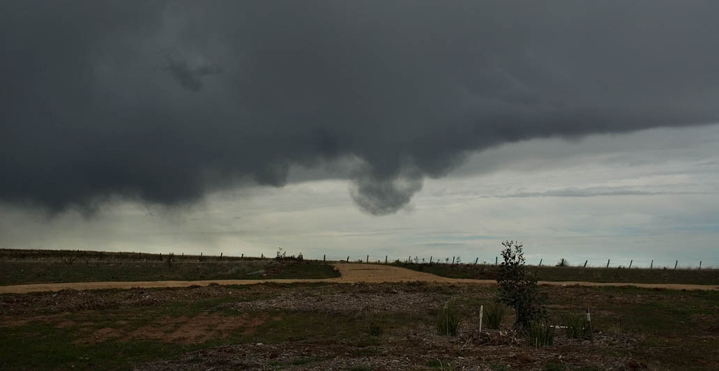 DSC_7374.jpg