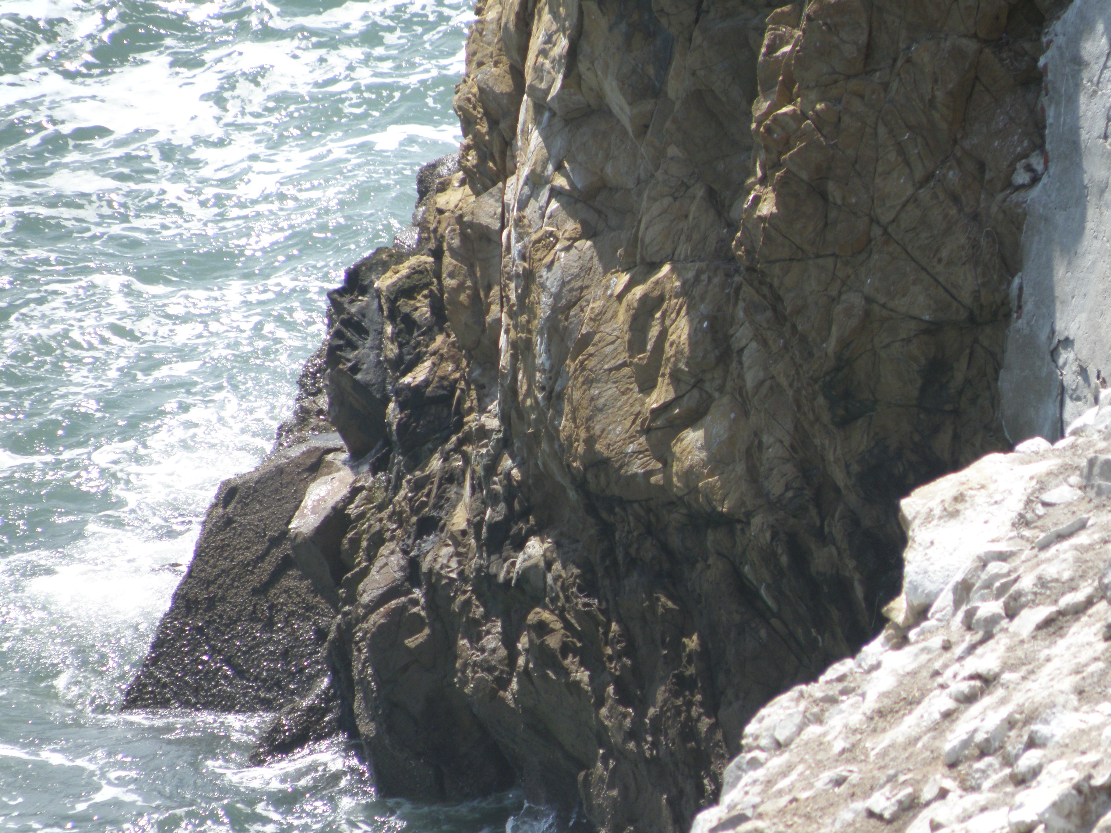 alcatraz cliffs 6-11 c.JPG