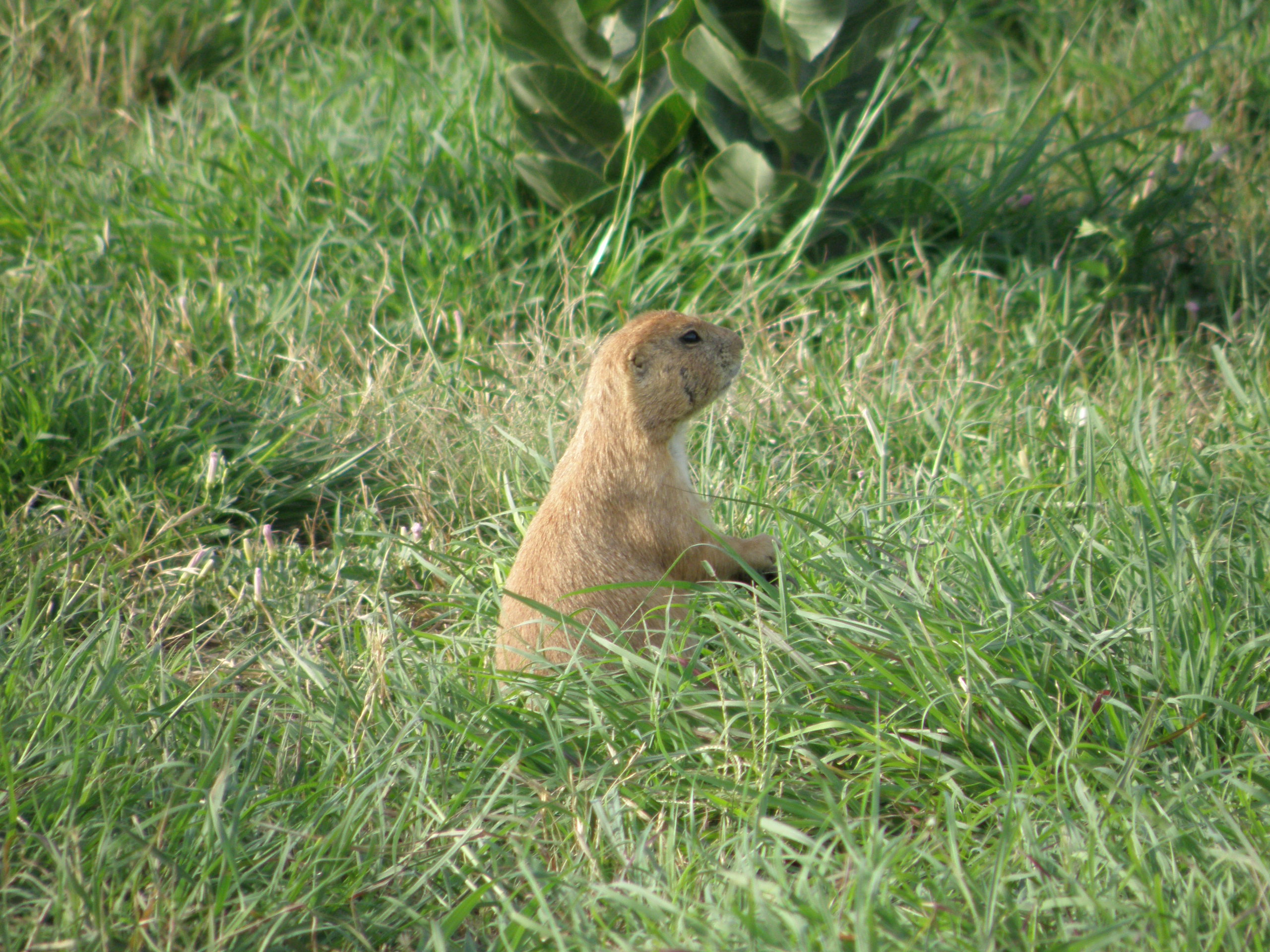2010 P7160257.JPG