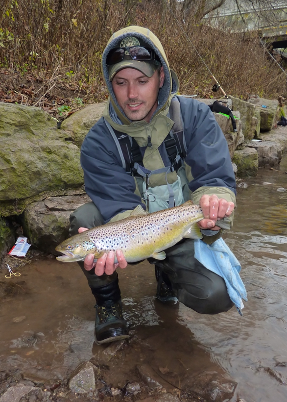 Jons Brown Trout, New York tributary