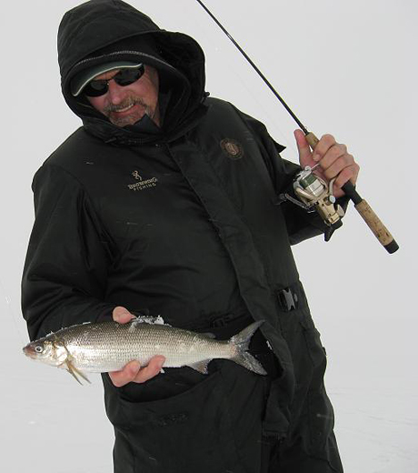 lake herring