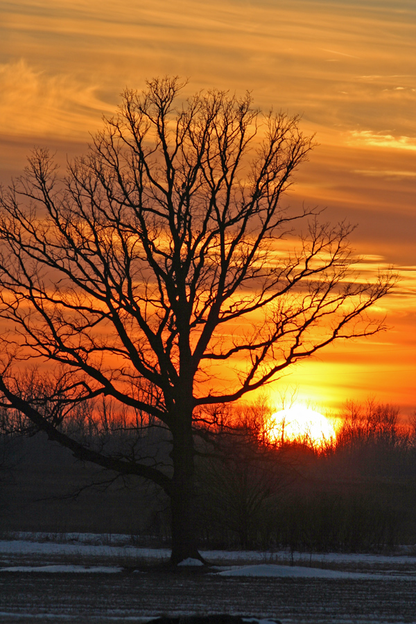 Sunset, Manitowoc Co. WI