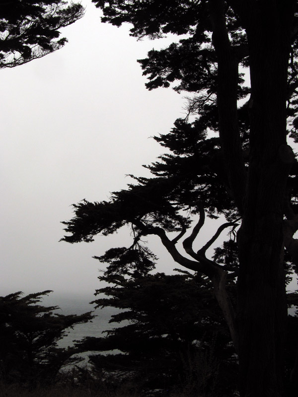 Silhouette on foggy background0602