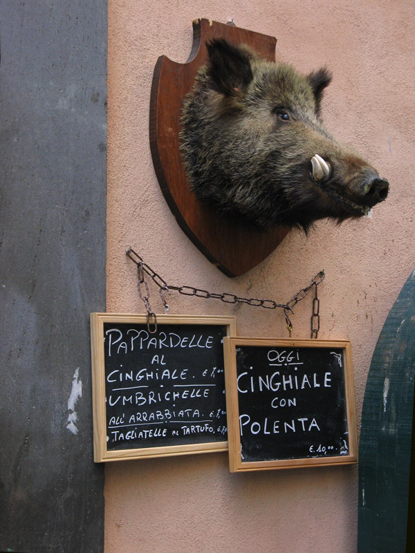 The Cinghiale is out8630