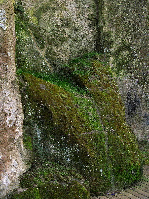 Mossy rock wall of the cliff8722