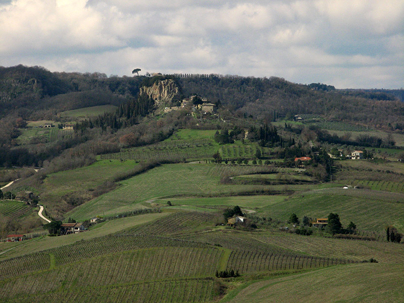 Green hills of Umbria8740