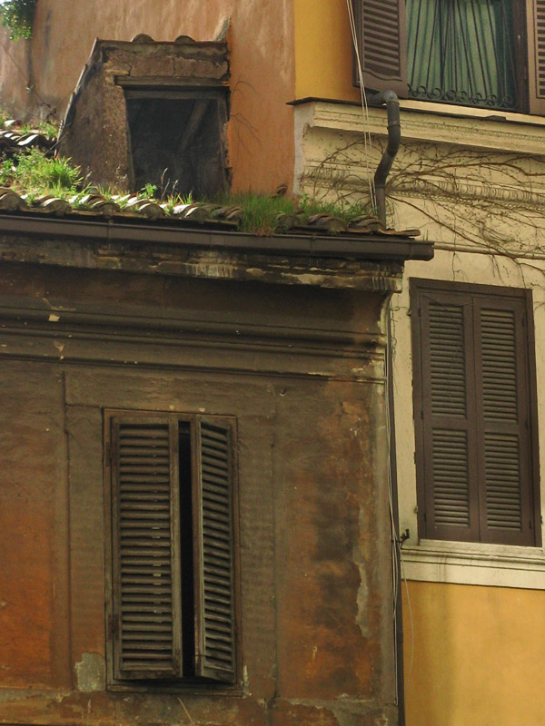 Grass on the roof, Via del Colosseo9319