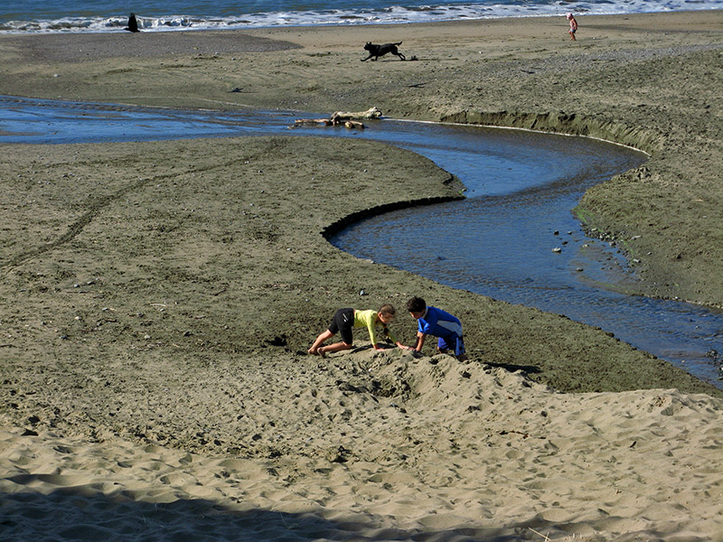 Playing at Lobos Creek2031