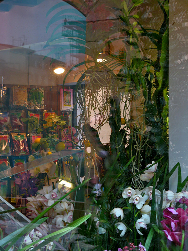 A florist on Piazza della Signoria0183.jpg