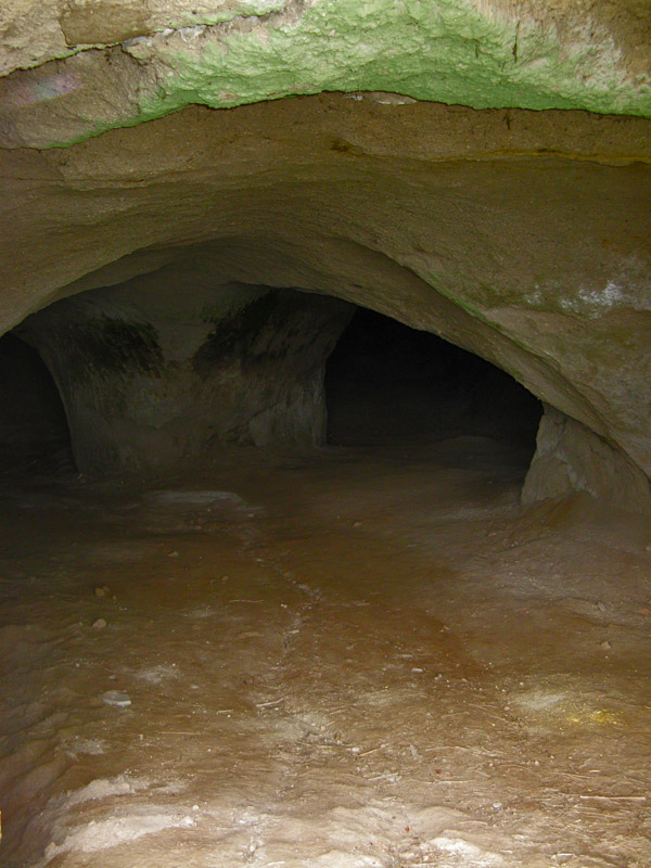 A view under the cliff2336